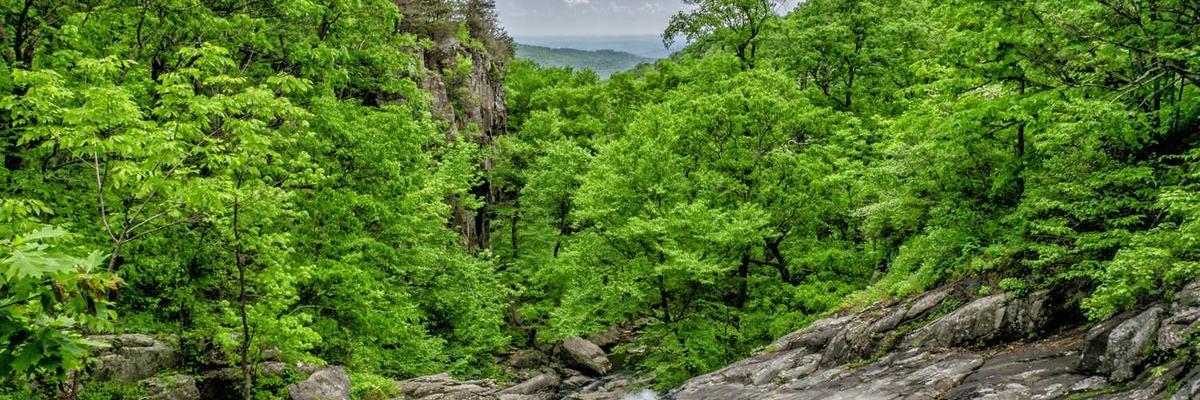 热门免费行情9.1网站不用下载官方版下载-免费行情9.1网站不用下载正版v1.3.5-视频动漫网站入口大全在线免费推荐